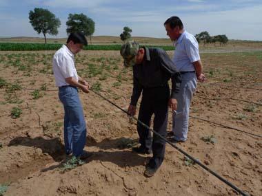 宁夏农民采用渗灌设施适应干旱
