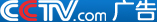 cctv.com logo