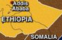 Unidentified gunmen attack Chinese company working field in Ethiopia 