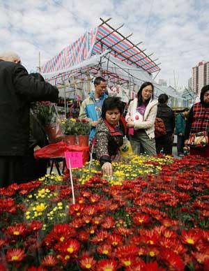 Local residents choose flowers at the New Year Fair held at the Victoria Park in Hong Kong, south China, on Feb. 3, 2008. (Xinhua Photo)