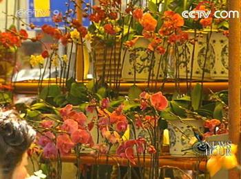 In Guangzhou, residents traditionally spend the day touring the city's annual flower fair. (CCTV.com)