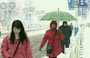 Fresh snow hits China