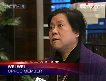 Wei wei, CPPCC member. (CCTV.com)