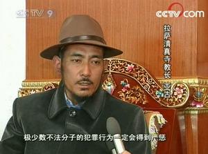 More religious figures have voiced their strong condemnations of the sabotage activities in Tibetan-populated areas.