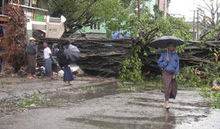A man walks past an uprooted tree in central Yangon on May 4, 2008, a day after the former capital was hit by a cyclone. (Xinhua/Reuters Photo)