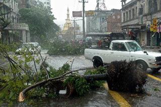 Tree branches lay across a street following a powerful cyclone in Myanmar's capital Yangon.(Xinhua/AFP Photo)
