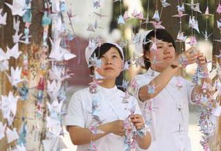 Two students at a vocational school in Xiangfan, Hubei Province, arrange strings of paper cranes at a memorial ceremony to mourn the Wenchuan earthquake victims May 20, 2008. Their prayers for the dead and best wishes for the survivors are written on the cranes. (Xinhua Photo)