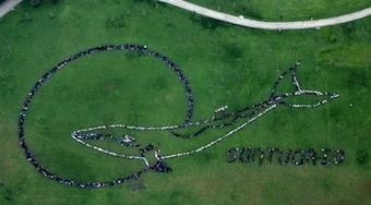 People forming the shape of a whale and the word "Sanctuary" in Santiago on June 22. The International Whaling Commission, a treaty organization grouping 80 countries, is to meet in Chile to debate a possible resumption of commercial whale-hunting.(AFP/Whaleman Foundation/File/Jeff Pankunthoff) 