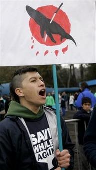 A protester holds a sign depicting a whale killed by hunters at a Greenpeace demonstration against whale hunting outside a hotel where the International Whaling Commission is holding its 60th annual meeting in Santiago, Monday, June 23, 2008.(AP Photo/Santiago Llanquin)