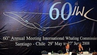 Chairman of the International Whaling Commission US' Bill Hogarth (L) speaks during the International Whaling Commission (IWC) meeting in Santiago. The IWC Tuesday said it will vote on neither a Japanese proposal to resume commercial whaling nor on an environmentalist initiative to create a whale reserve in the South Atlantic.(AFP/Martin Bernetti)