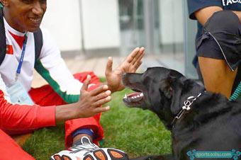 A Portuguese athlete plays with his guide dog "Nida" at the Beijing Paralympic Village, September 8, 2008.[Sohu.com]