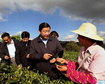 Chinese Vice President Xi Jinping (2nd R) talks with a woman at a tea garden in the Simao District of Pu'er City, southwest China's Yunnan Province, Nov. 18, 2008. Xi Jinping made an inspection in Yunnan Province on Nov. 17-20. (Xinhua/Lan Hongguang)