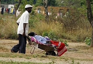 A man pushes his relative in a wheelbarrow to a Cholera Polyclinic, where victims of cholera are being treated in Harare, Zimbabwe.(AFP/Desmond Kwande)