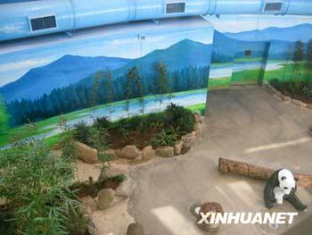 The two living rooms are well decorated. A wall in one of the rooms is painted with pictures of snow-capped mountains, resembling the panda's home in southwestern Sichuan Province.