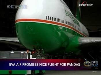 A Boeing 747-400 jet will fly to Chengdu the capital of Sichuan Province to collect the pandas.