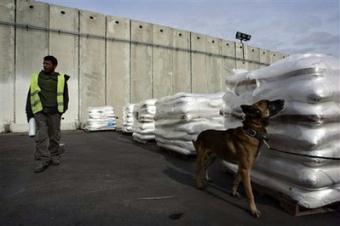 A dog sniffs aid which is destined for Gaza before it goes in. For a second straight day, Israel said it suspended is Gaza military operation for three hours to allow distribution of humanitarian supplies.(AP Photo/Sebastian Scheiner) 