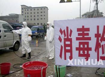 The Ministry is urging local veterinary departments to disinfect all major poultry markets.