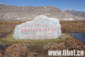 The Lhalu Wetland National Nature Reserve in north Lhasa is seen in this file photo. The Tibet Autonomous Regional Government has decided to spend 450 million yuan on environmental protection. (Xinhua Photo)