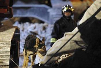 A fire department rescue crew member and his dog search through the rubble of a building which collapsed after an earthquake in L'Aquila April 11, 2009.REUTERS/Alessandro Bianchi  