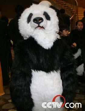 Lovely panda prop