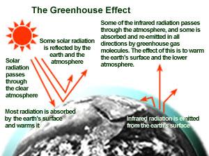 Picture from United States Environment Protection Agency