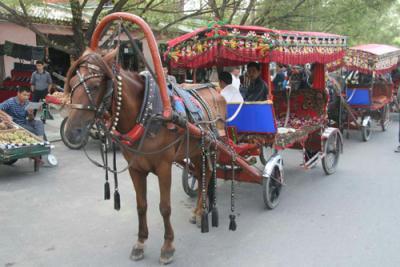 The horse and cart is used like a taxi in the Kazakh tourist spot in Yili prefecture, Xinjiang region, China. Photo taken on Friday 22 August, 2009.[Photo:CRIENGLISH.com]