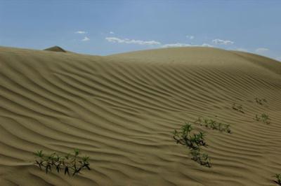 Drifting sand, Kubuqi Desert, Inner Mongolia [Photo: CRIENGLISH.com/Chris Gelken]