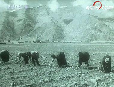 Work hard for serf owners