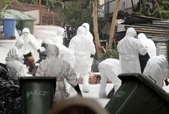 Staff members of the Food and Health Bureau of the Hong Kong Special Administrative Region (HKSAR) government dispose of the slaughtered chickens in Hong Kong, south China, on Dec. 9, 2008. (Xinhua Photo)