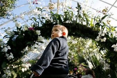 In this Feb. 24, 2008 file photo Luca Santangeli gets a close up view of an arbor harboring dozens of orchids as he tours the New York Botanical Garden's orchid show on his father's shoulders in New York.[Agencies]