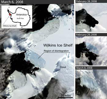 Scientists are citing "rapid climate change in a fast-warming region of Antarctica" as the cause of an initial collapse of the Wilkins Ice Shelf. 