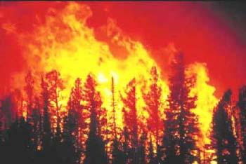Climate change will bring about major shifts in worldwide fire patterns, and those changes are coming fast.(File photo)