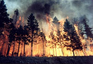 Climate change will bring about major shifts in worldwide fire patterns, and those changes are coming fast.(File Photo)