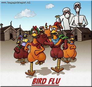 Bird Flu