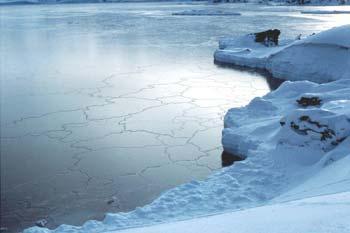 Freezing Sea Ice Antarctica