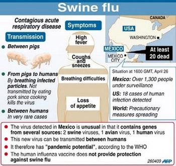 Factfile on the swine flu outbreak that started in Mexico.[Agencies]