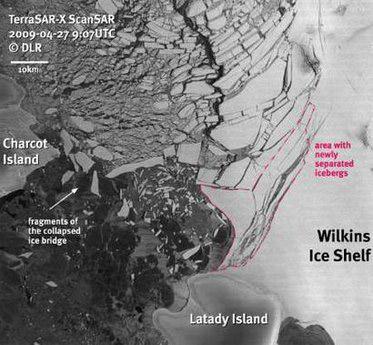 A handout satellite image taken April 27, 2009 of the Wilkins Ice Shelf in Antarctica shows icebergs covering an area of 700 sq kms (270 sq miles) -- almost the size of New York City -- that have broken off this month after the collapse of an ancient ice bridge between Charcot Island and the shelf. 