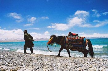 Nam Co is the highest lake in the world and is 4,718 meters above sea level. It is 72 kilomters long from east to west and 30 kilometers wide from south to north. 
