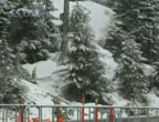 Bonne nouvelle : chutes de neige sur le Mont Cypress