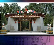 国宝档案：西藏文物保护五十年（1）