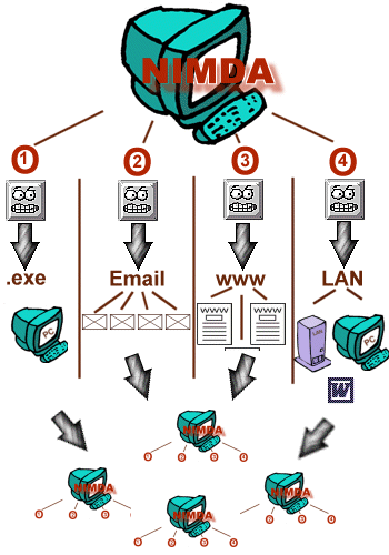 尼姆达病毒的四个传播途径